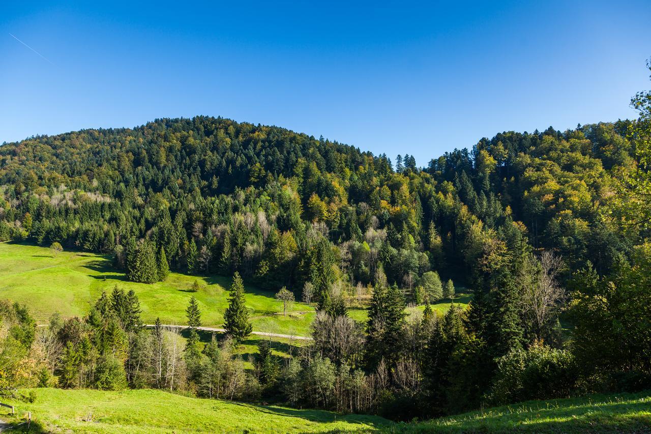 Hotel Bad Rain Mit Oberstaufen Plusgolf Экстерьер фото