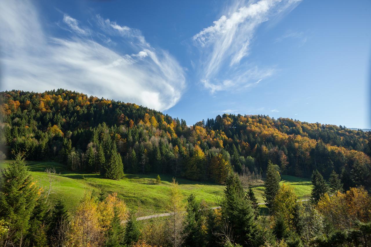 Hotel Bad Rain Mit Oberstaufen Plusgolf Экстерьер фото